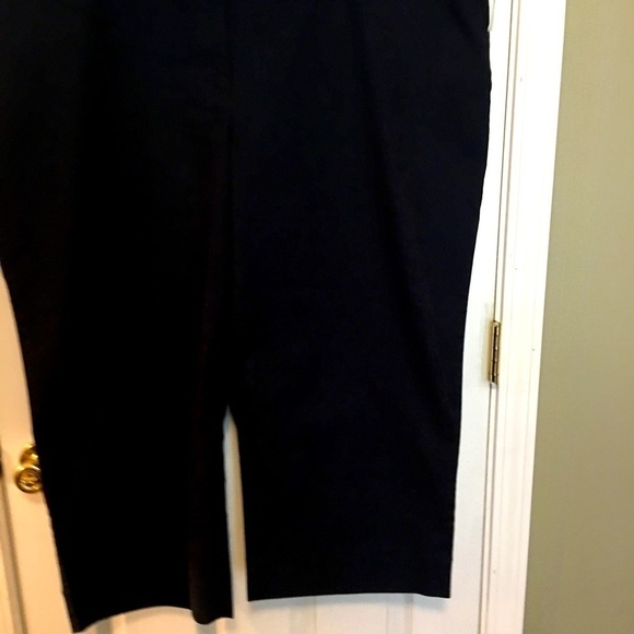 Women’s Talbots plus size 24 crop pants NWT Career work wear casual Minimalistic - Picture 2 of 8